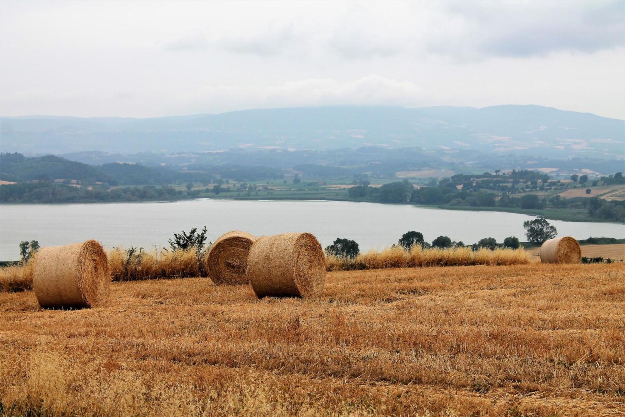 Terracqua & Locanda Granducato Чиуси Экстерьер фото